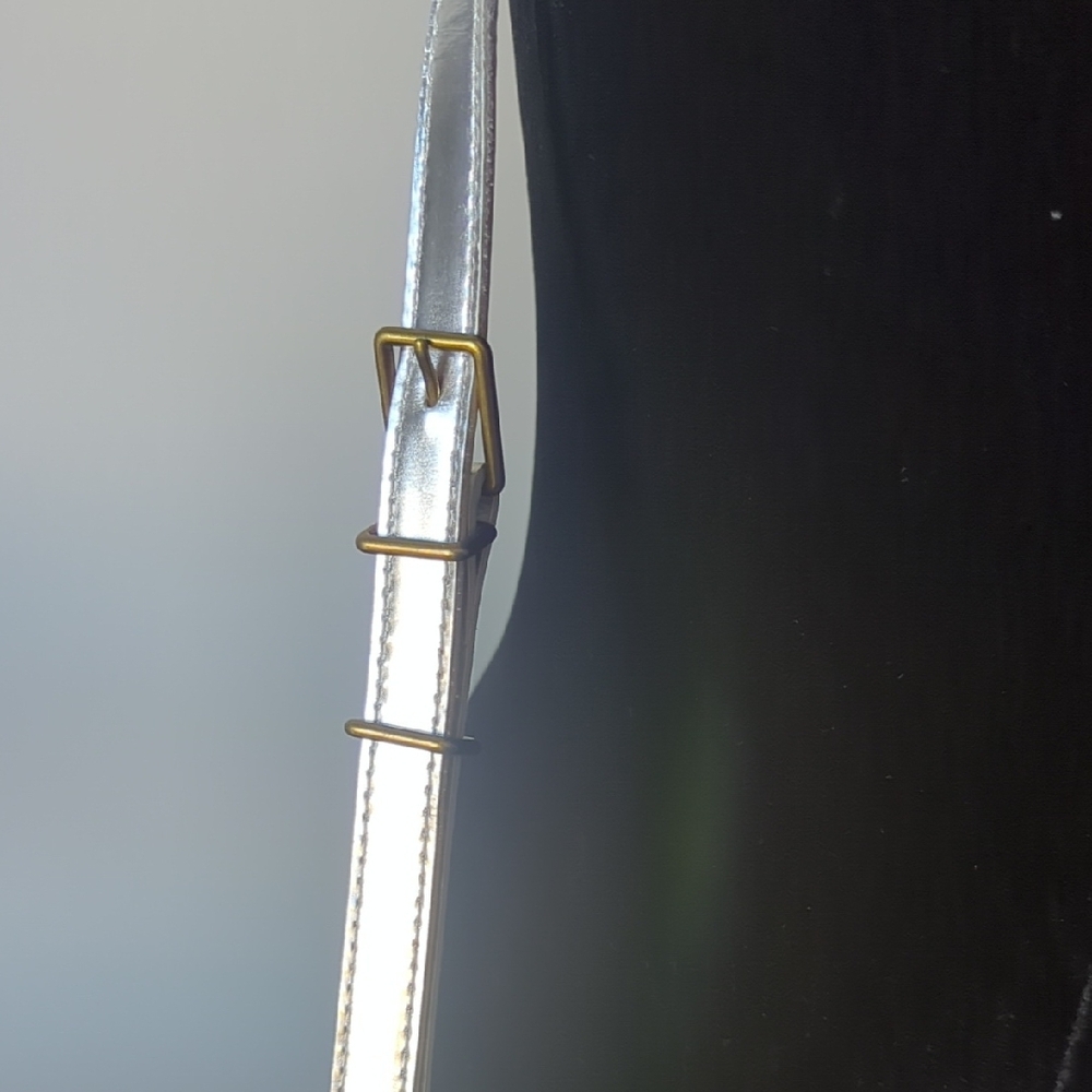 Madewell Silver Crossbody Bag - Picture 9 of 10